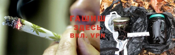 PSILOCYBIN Верхний Тагил