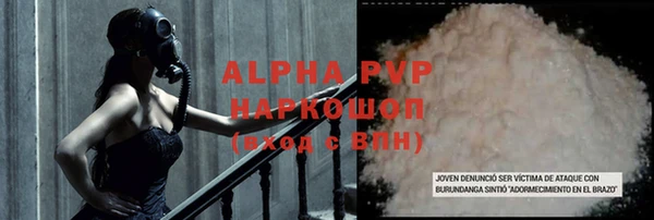 СК Болотное