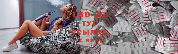 PSILOCYBIN Верхний Тагил