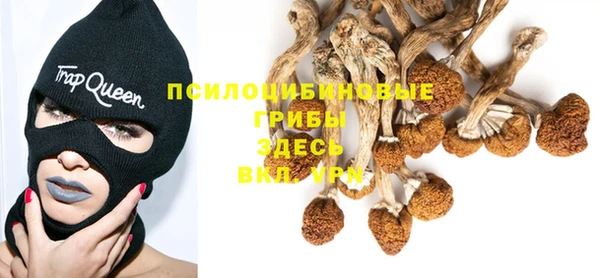 PSILOCYBIN Верхний Тагил